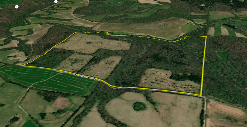 Screen Shot 2024-06-04 at 4.42.14 PM