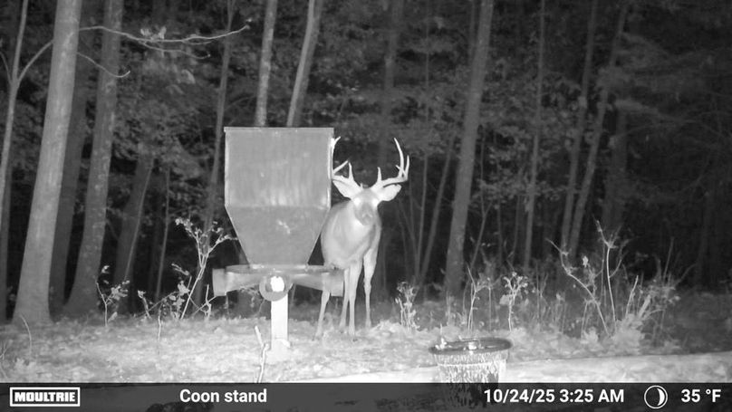 Fleming Petry 120-040