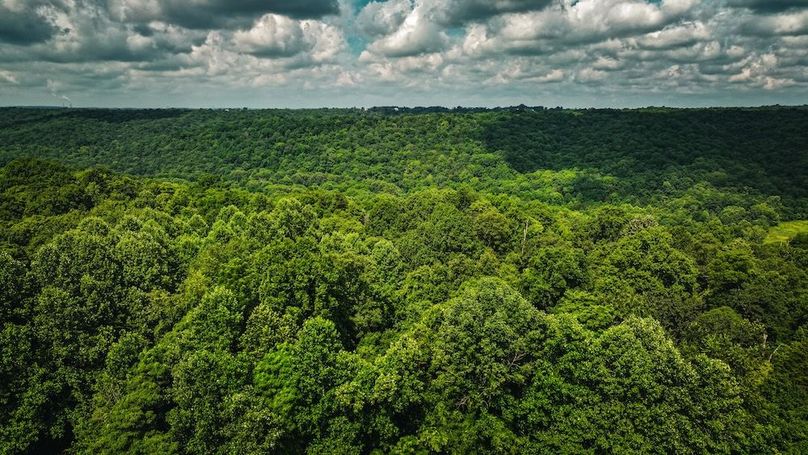 dji_fly_20250708_111232_0437_1751988018094_photo