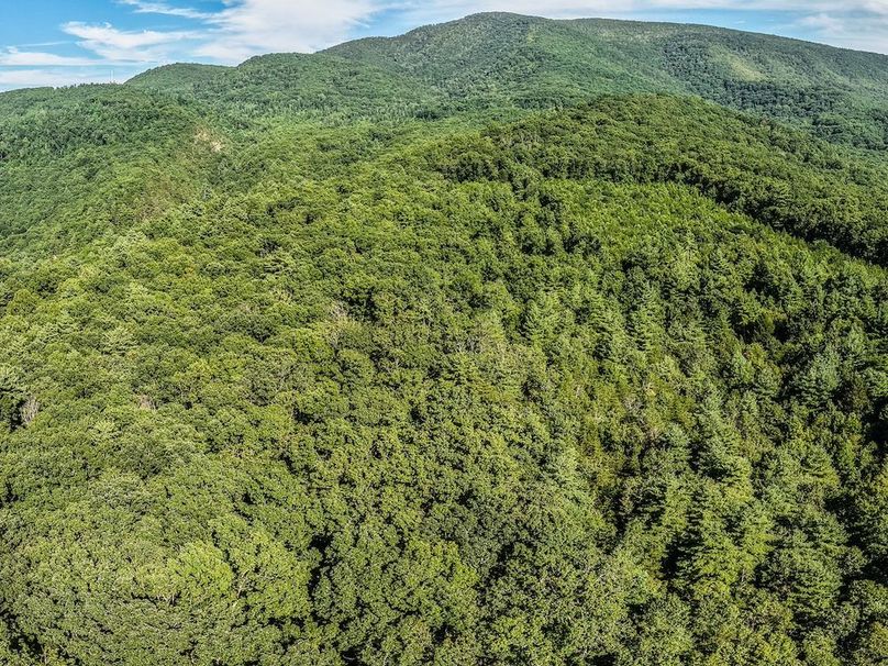 DJI_20250804172602_0005_D