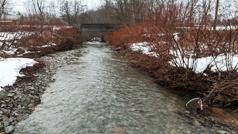 6 DJI_20260115041012_0015_D