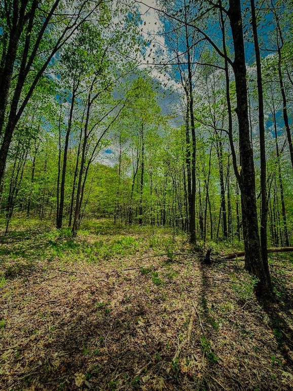 Doddridge, WV 64.69 AC Davis-12