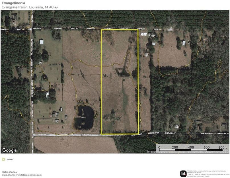 Evangeline_14_Contour copy