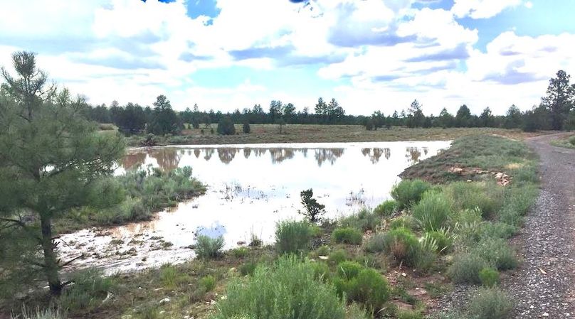 19_Pratt Carver tank 2