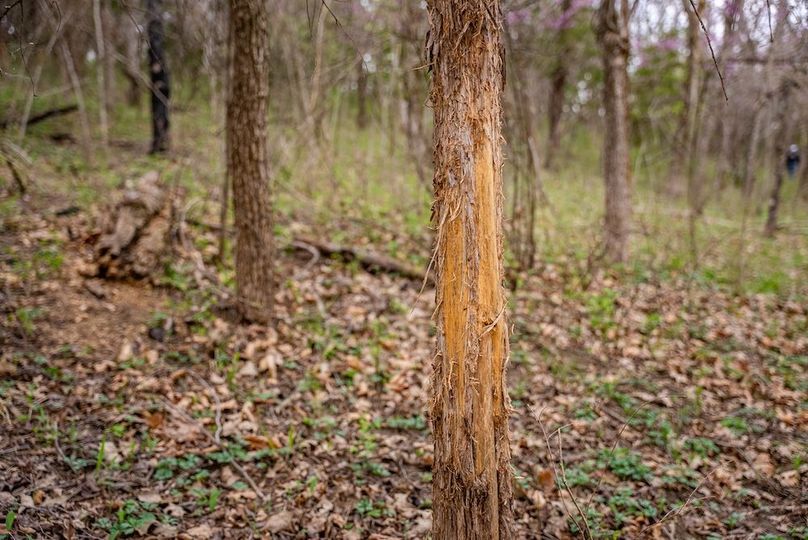 WabaunseeKansas887.39-199