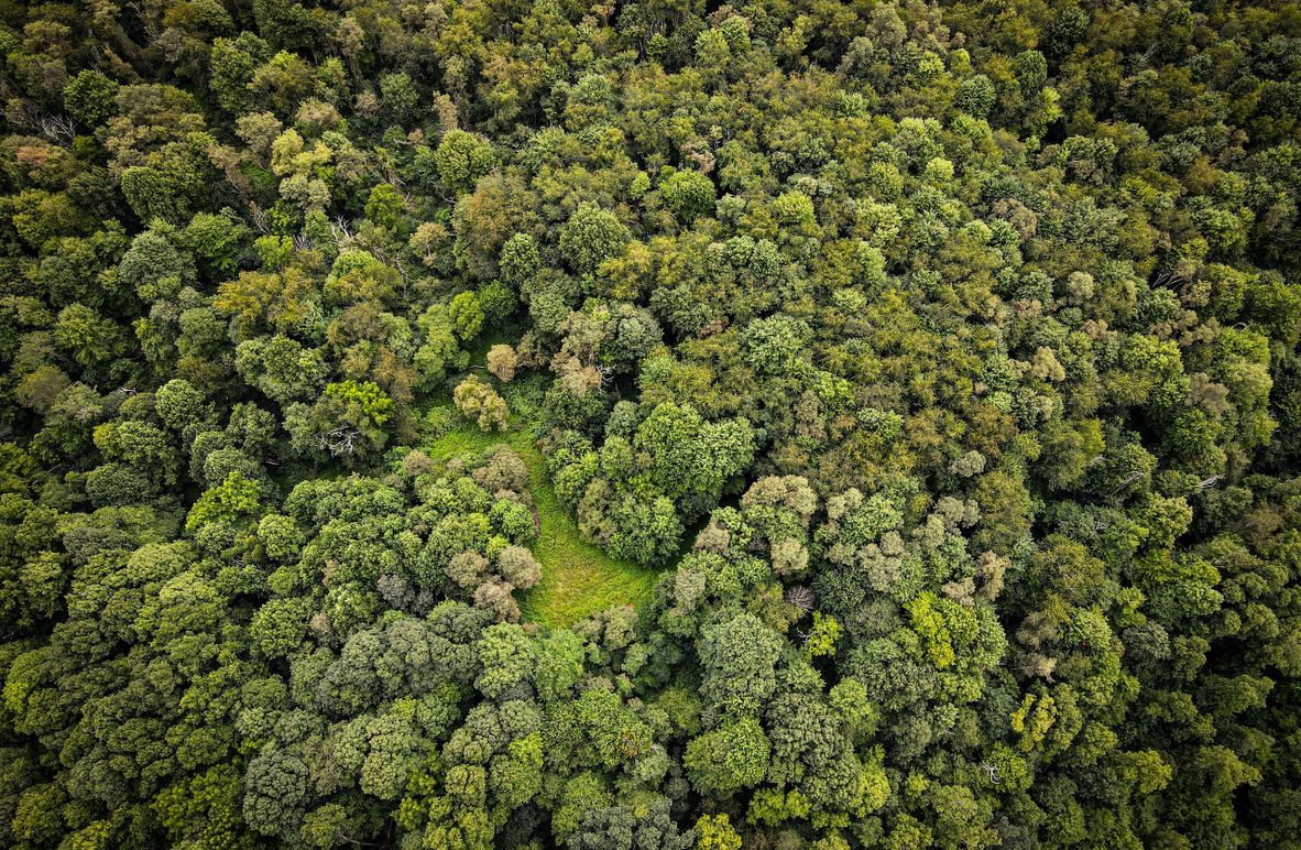 dji_fly_20230816_135444_59_1692208571529_photo