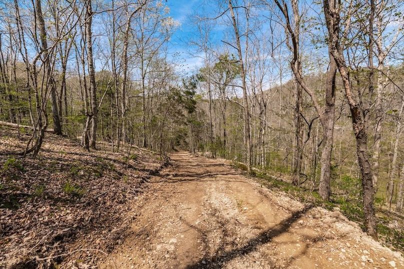81-web-or-mls-0 Mound Creek Rd-51