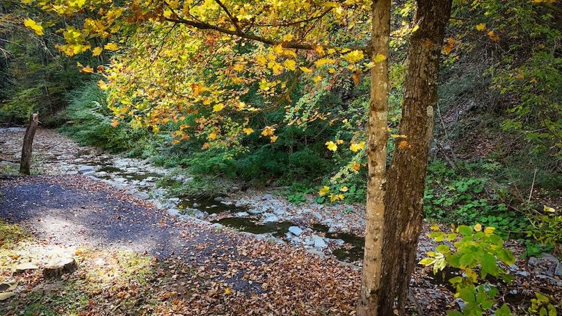 Tompkins NY 87 Allen Photos 25