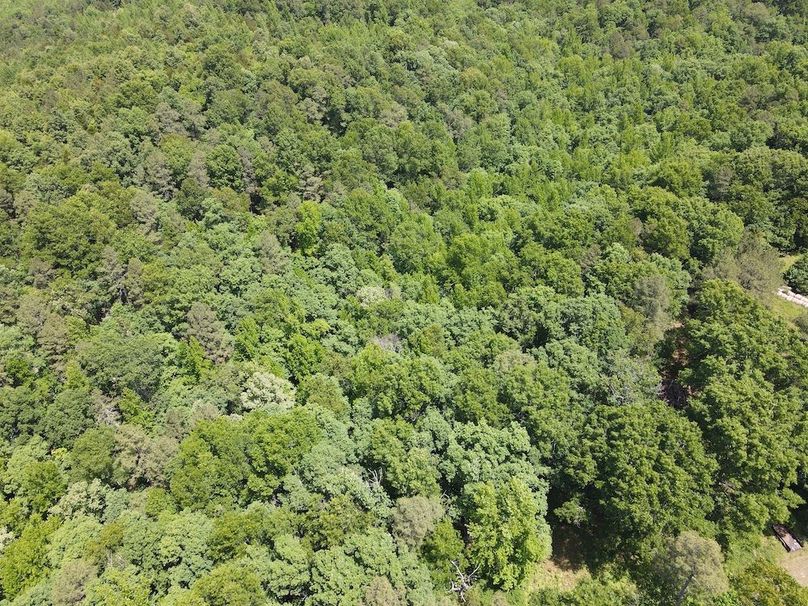 dji_fly_20260514_121318_801_1778778821807_photo
