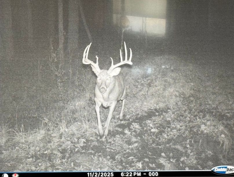 TRAIL CAM 3