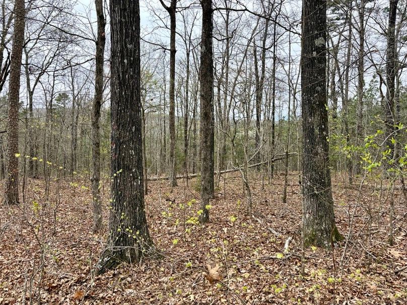 5225CD98-12D8-44BD-A6C7-6EA5CB2A9039_1_201_a