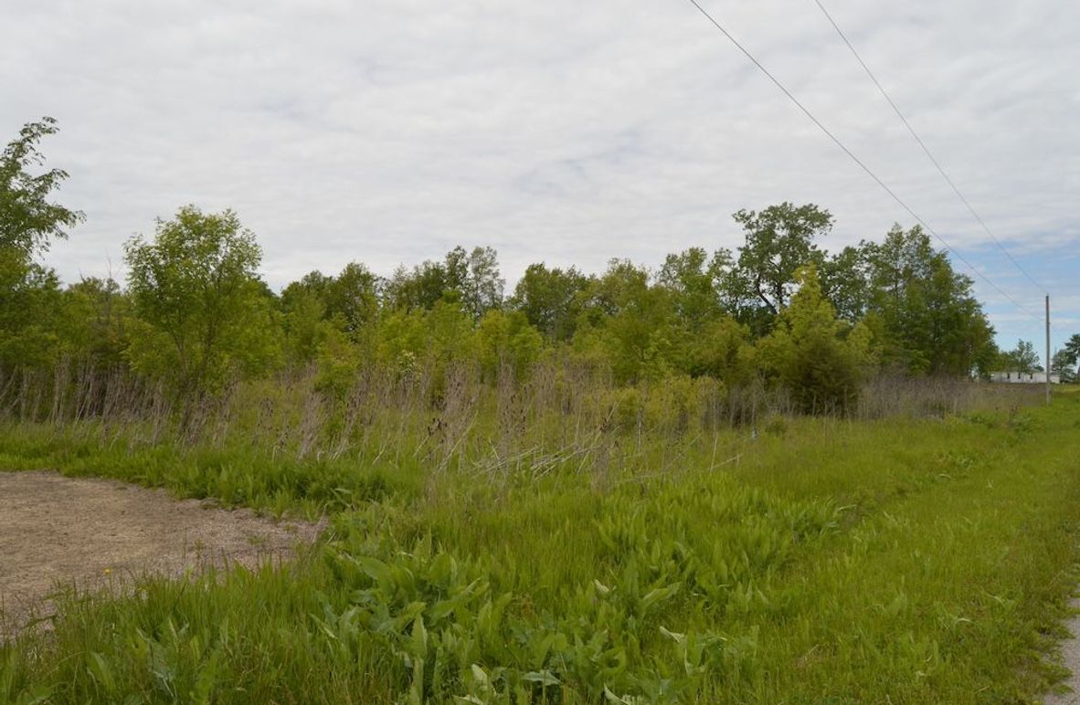 East border looking west