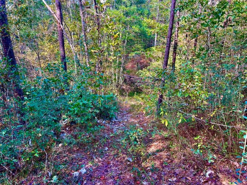 D5695852-1578-4CC5-88F2-3D303849F3FD_1_201_a