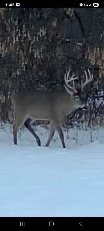 Resized_Screenshot_20251213_110555_Messages