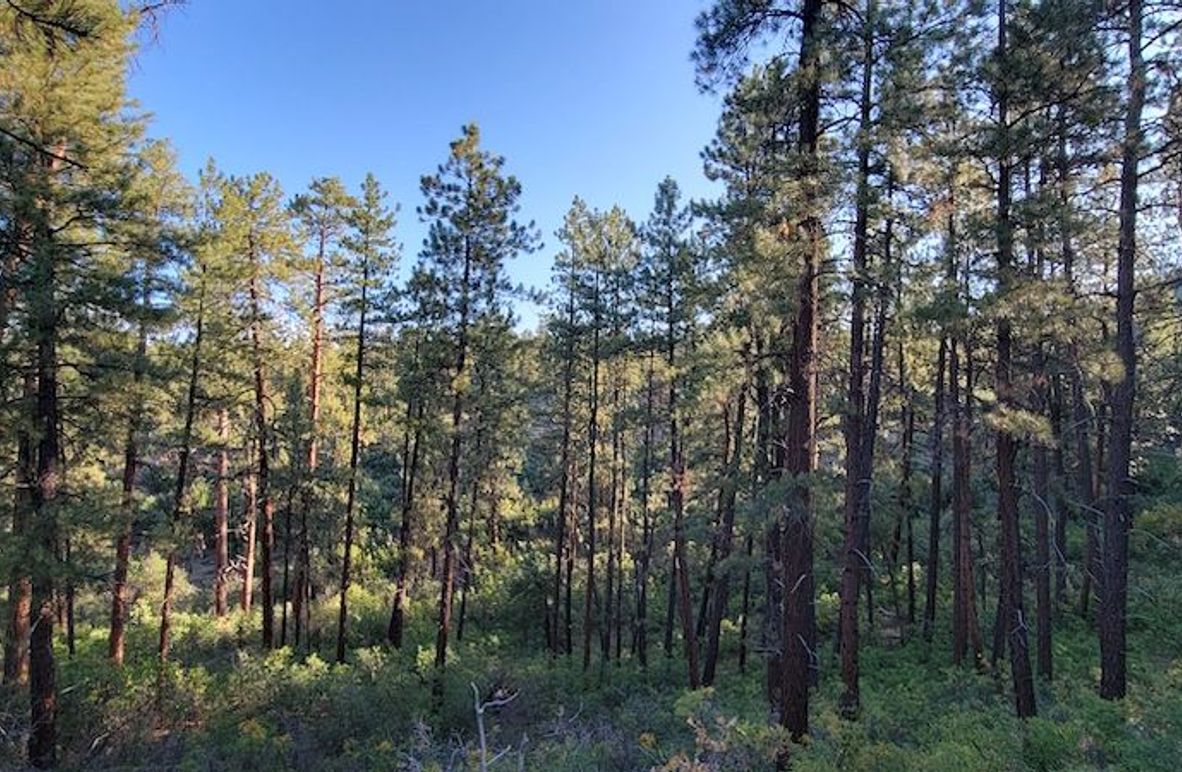 Copy of 20210827_075645