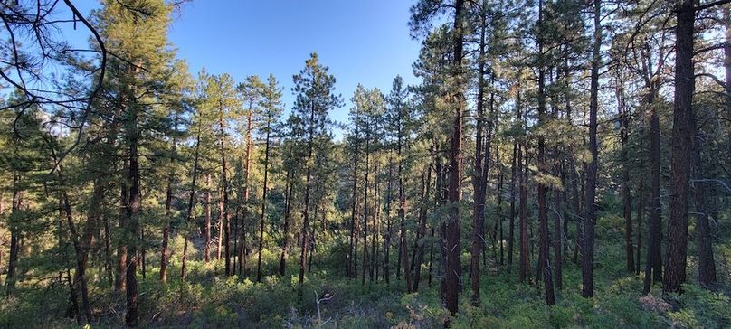 Copy of 20210827_075645