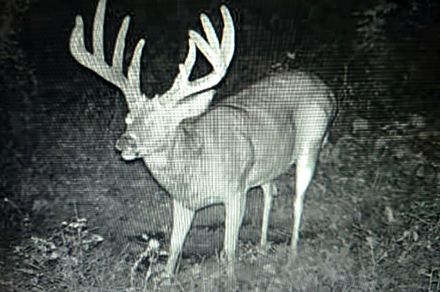 CHIPPER JONES, BIG IOWA BUCKS