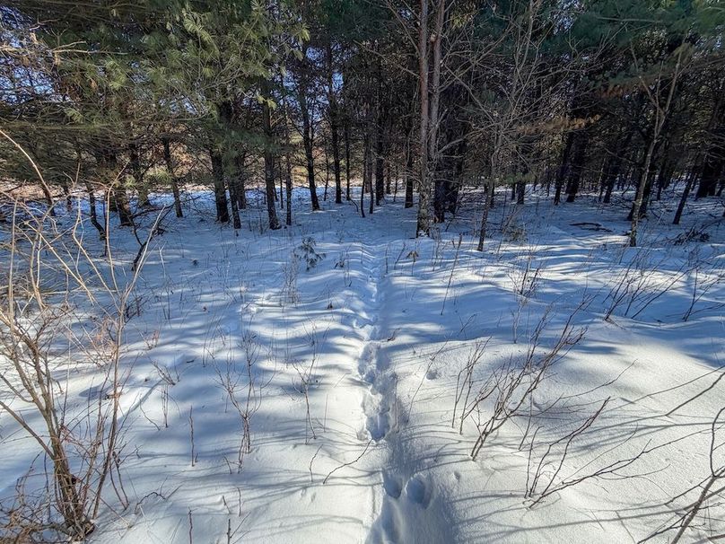 Monroe 68.2 - 97 of 120