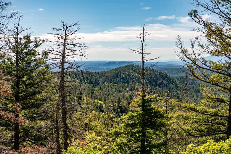 Copy of Los Alamos 508 6-24-4