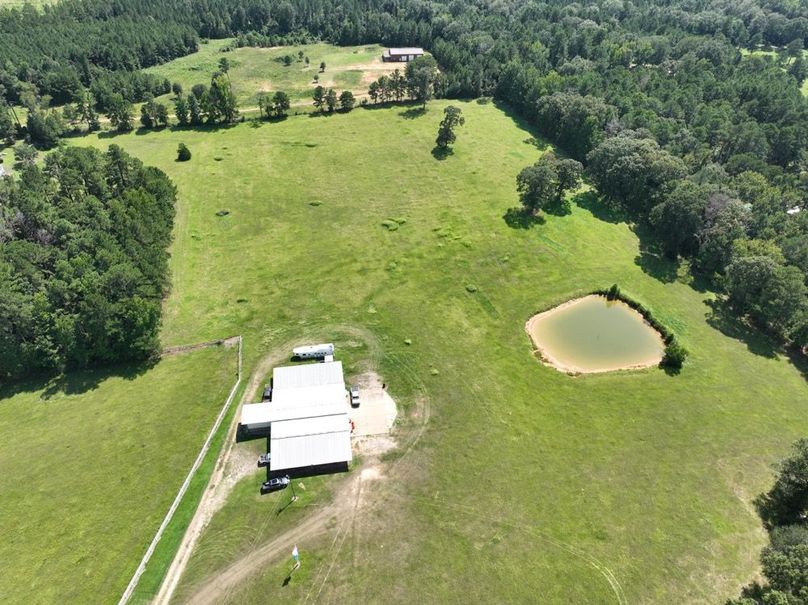 dji_fly_20250828_145002_128_1756499695001_photo