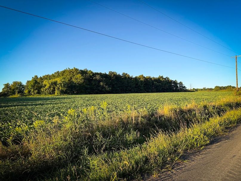 Copy of Wood Tract 4 Photo 7