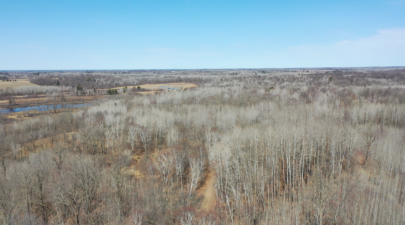 Screenshot 2023-04-19 at 9.15.35 AM