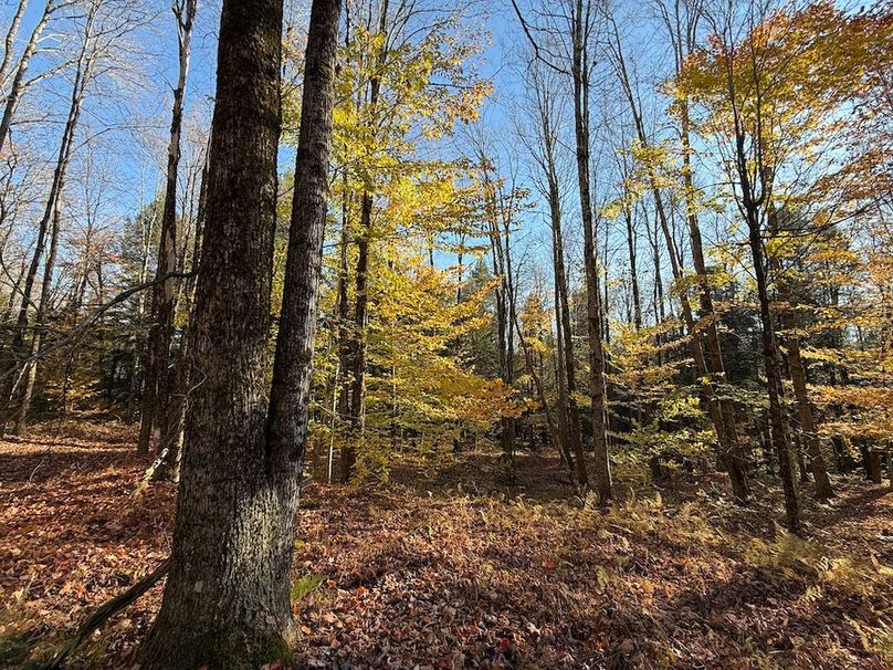 Oswego_26.28_Koehler Photo 28