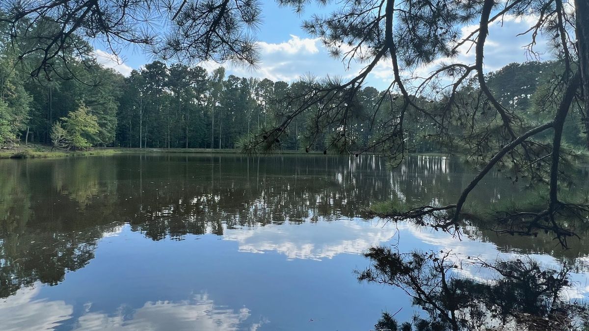 Wynn Drive Estate Whitetail Properties