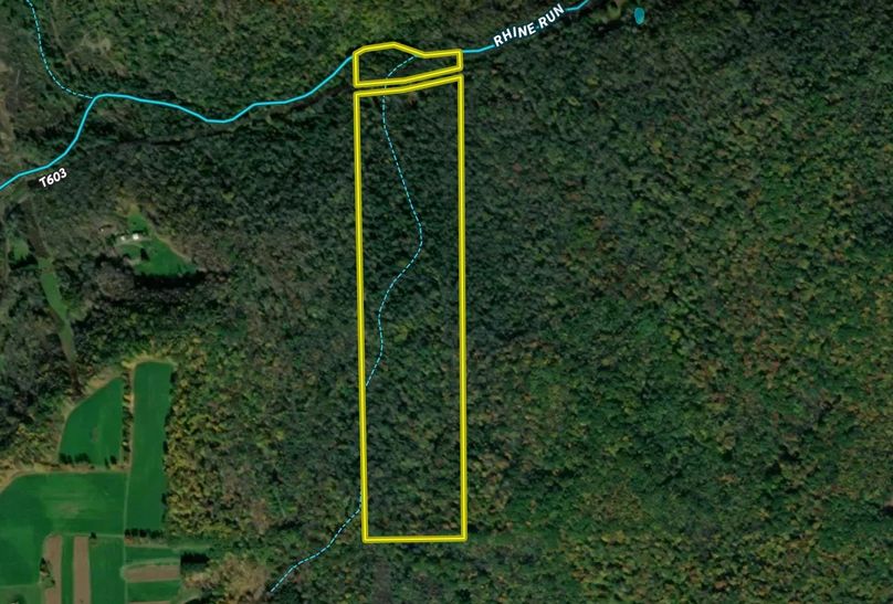 Screen Shot 2025-10-24 at 11.53.54 AM