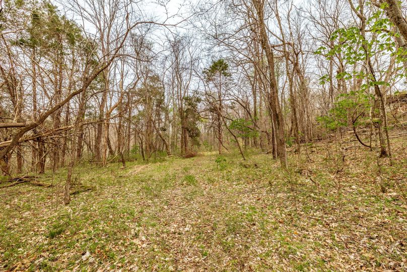 33-web-or-mls-Wolf Hill-11