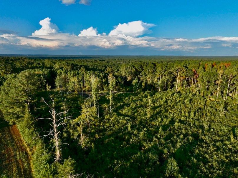 EE688BD2-6D5C-4DE4-BE14-BB34FE1A0CEC_1_105_c-2