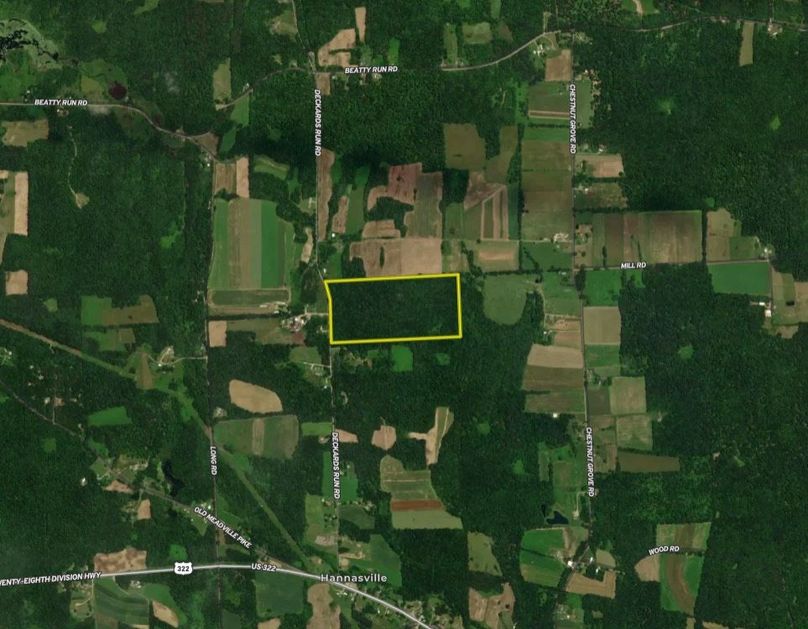 Screen Shot 2026-04-09 at 11.29.12 AM