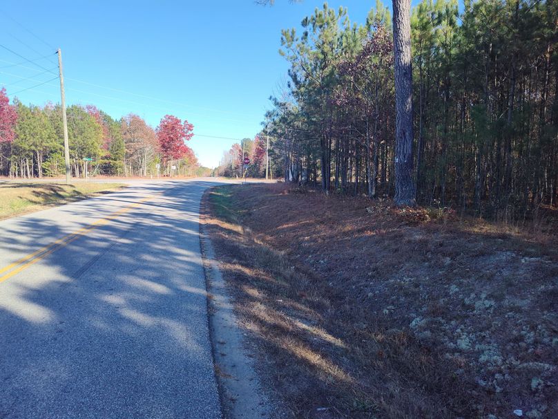 IMG_20231119_141756549