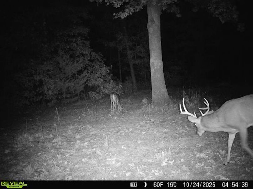 860516062938992-50-4-10242025045436-W1022168