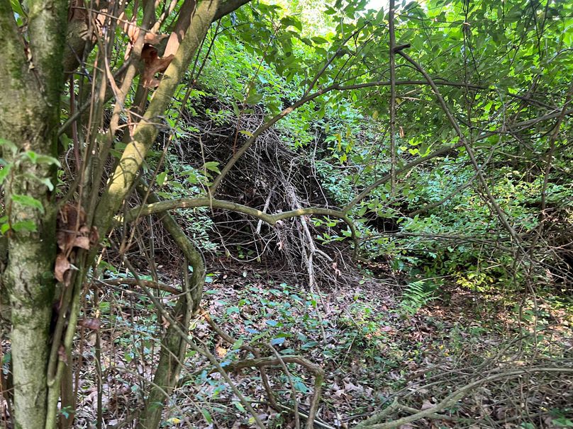 Wirt, WV 150.75 AC Tinnell-59