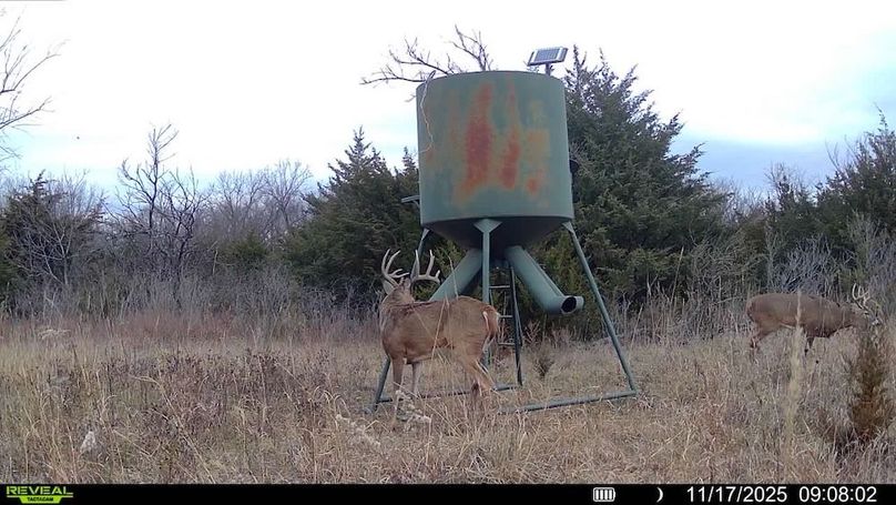 016578004503154-100-2-11172025090802-SYFW19770