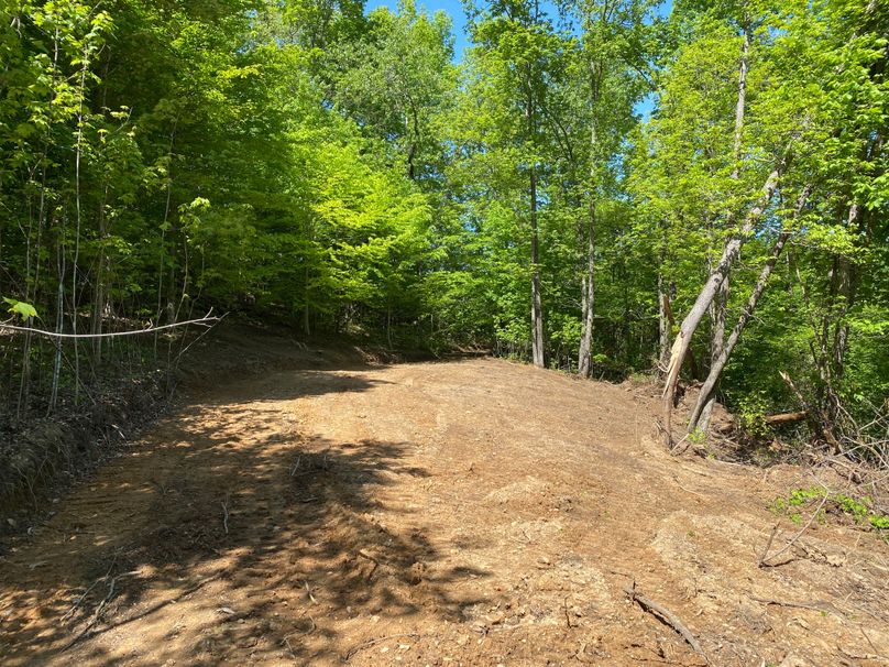 005 the upper elevation main trail leading to the south area of the property copy