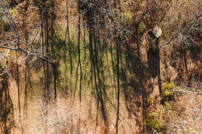 DJI_20251116125853_0195_D