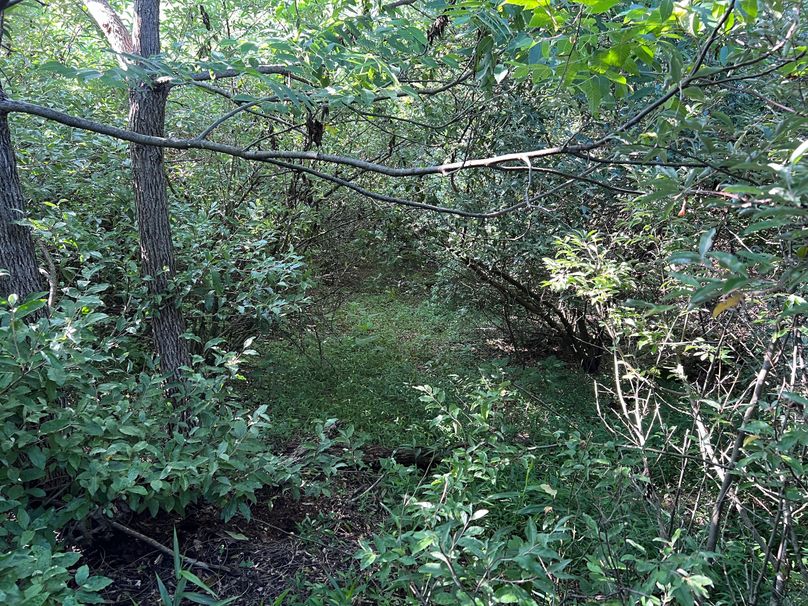 Wirt, WV 150.75 AC Tinnell-53