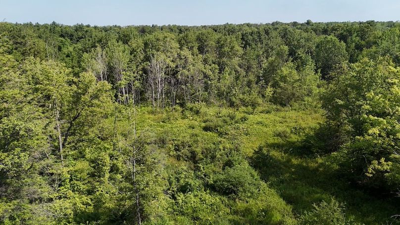 DJI_20250730104105_0323_D