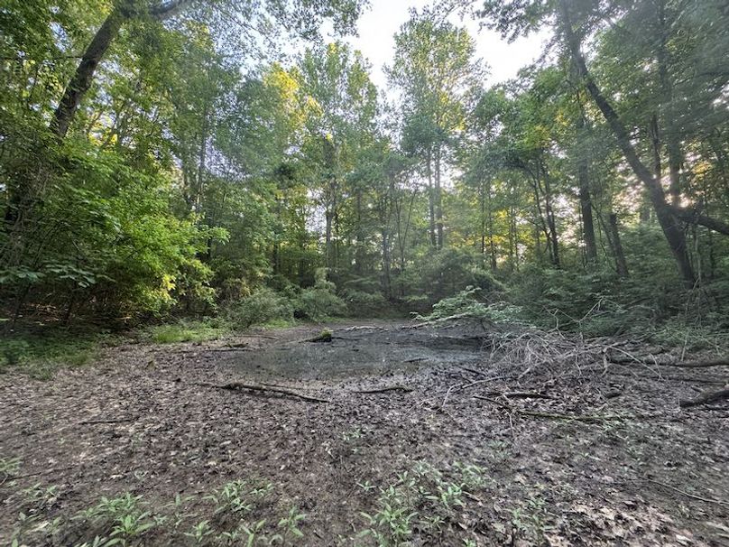 Desoto 8.3 Clement (Final Frontier) -23