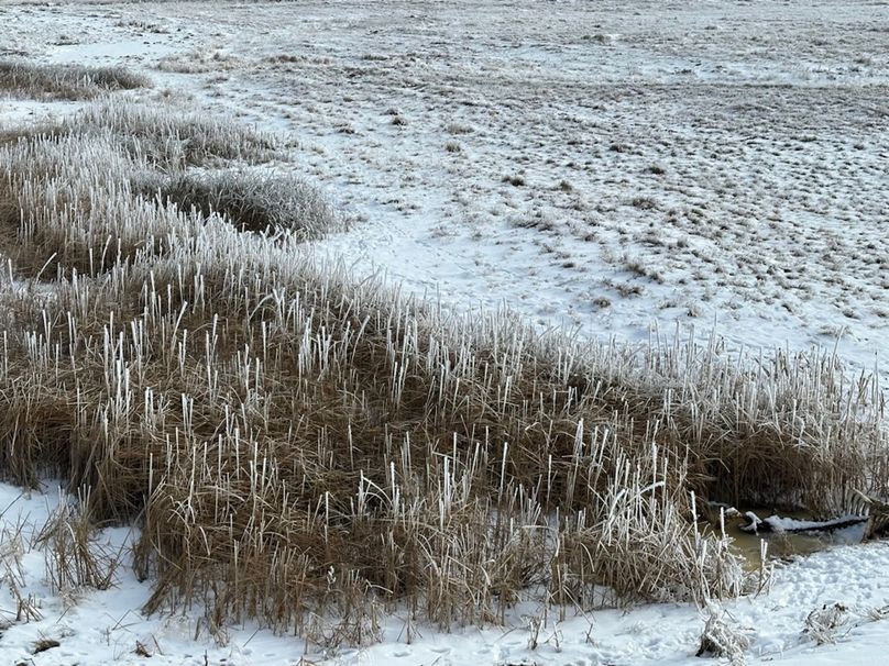 70B984D1-E59C-41E6-927C-4271B4B7DEC9_1_105_c