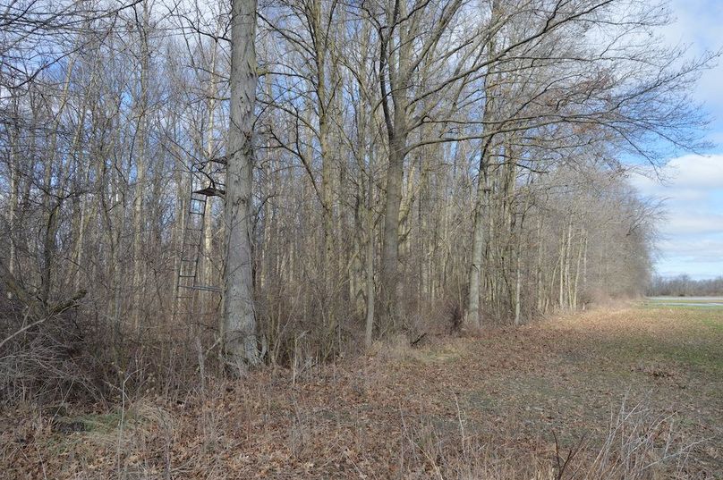 SE corner looking north