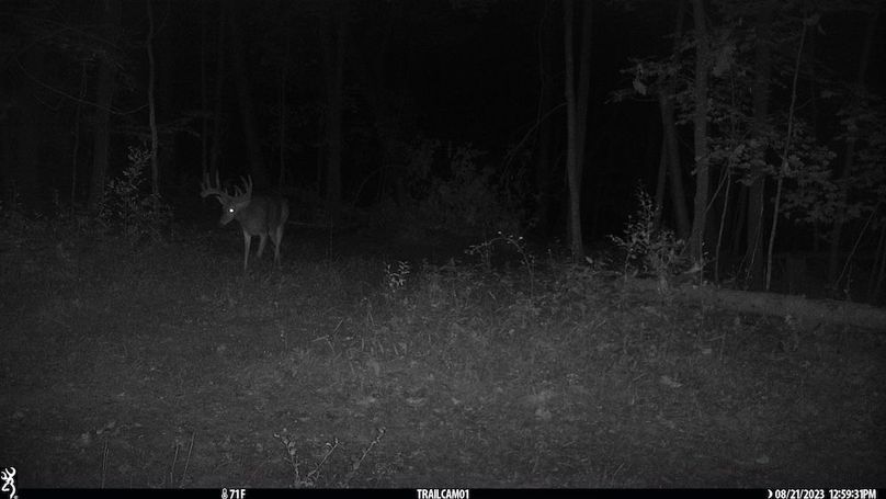 Trailcam - 12