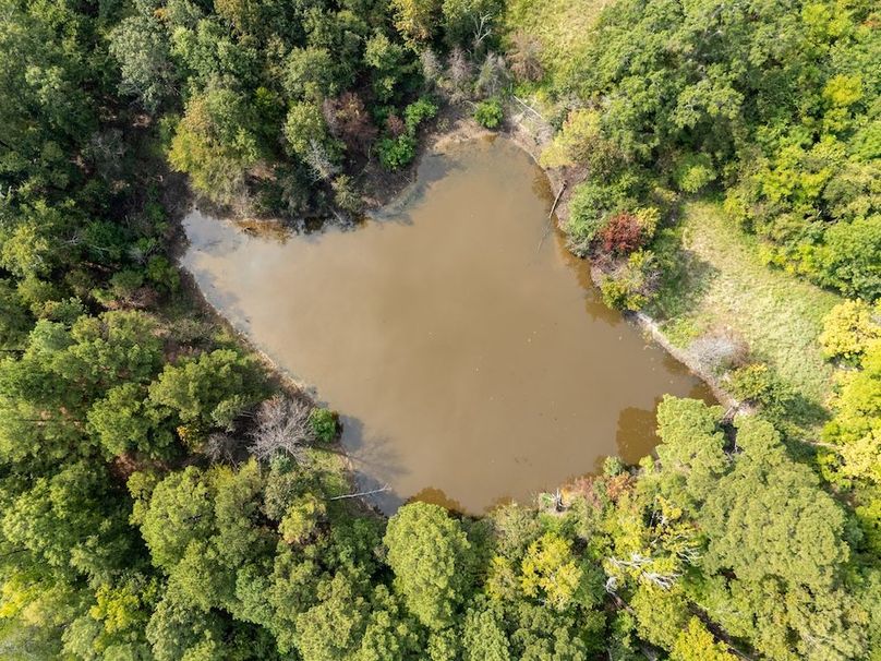 13 Edited Harison co. 206 - Ed Robb-002