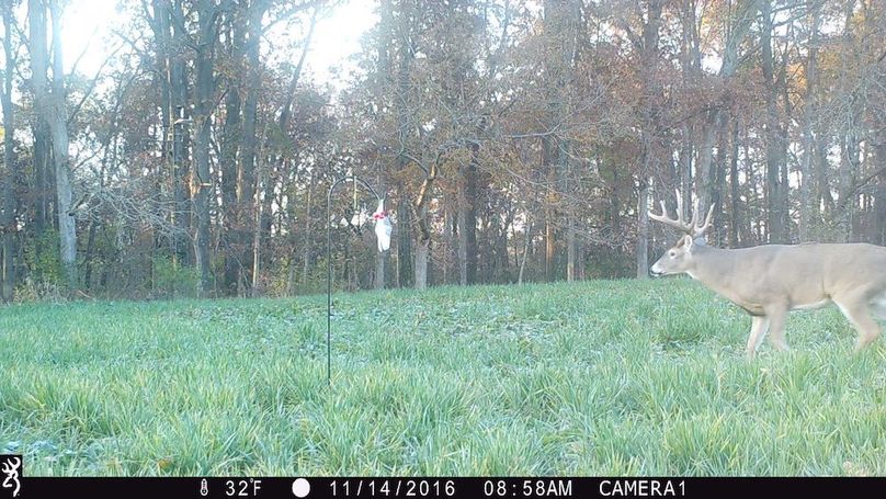 Copy of greene92 trail.10