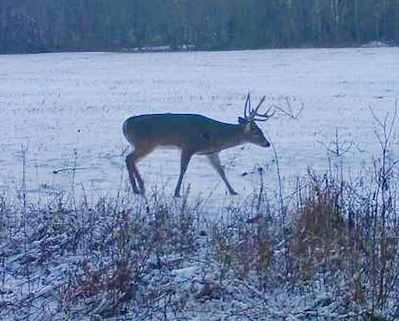 865519049946661-70-4-12242022070726-W1000907