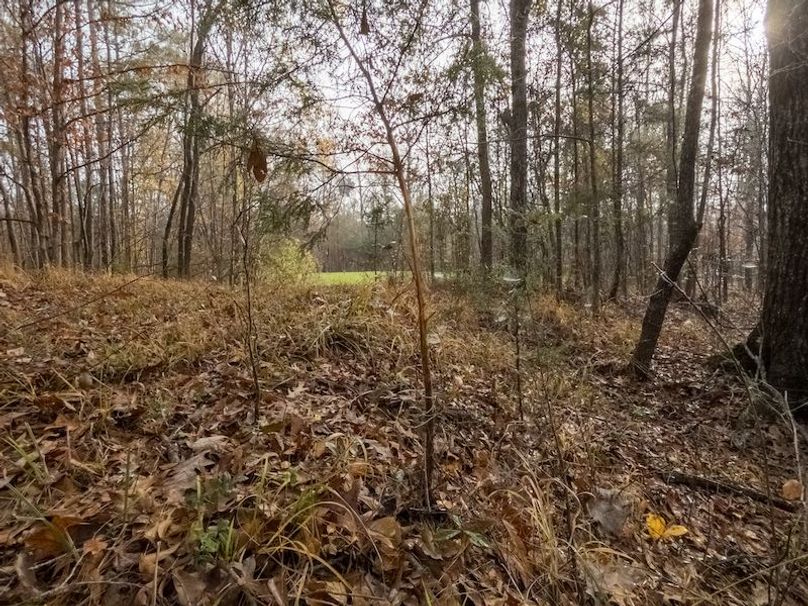 Claiborne Co - 274 - Marian-018