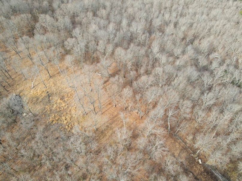 DJI_0668