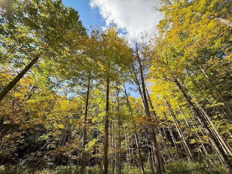 Ontario_9.680_Hardy_Photos_43